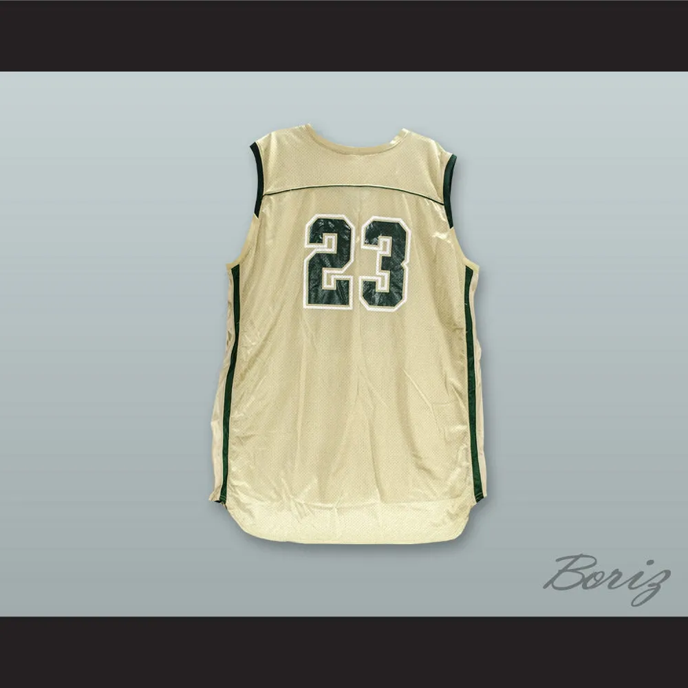 Lebron James 23 St. Vincent–St. Mary High School Fighting Irish Gold Basketball Jersey